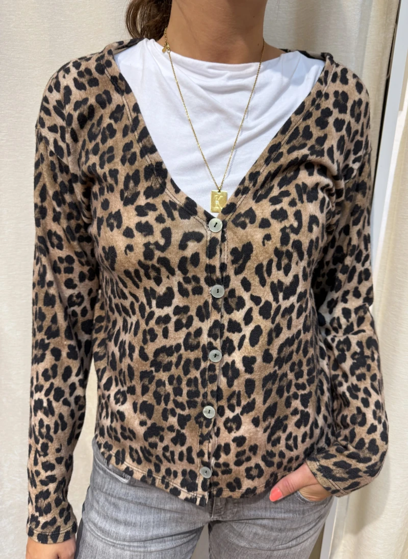 Cardigan-Leo