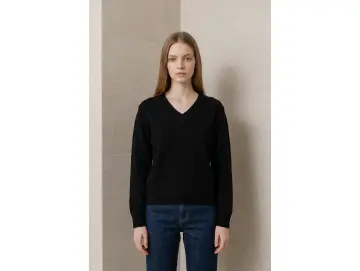 Pullover-V-Style